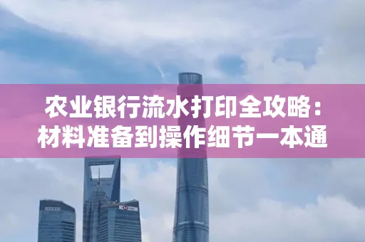 农业银行流水打印全攻略：材料准备到操作细节一本通