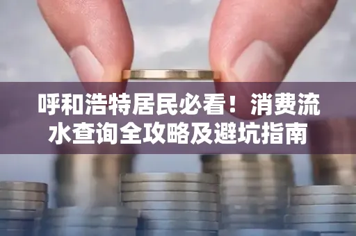 呼和浩特居民必看！消费流水查询全攻略及避坑指南