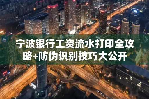 宁波银行工资流水打印全攻略+防伪识别技巧大公开