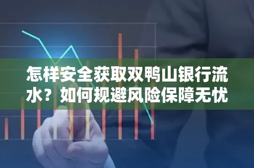 怎样安全获取双鸭山银行流水？如何规避风险保障无忧？