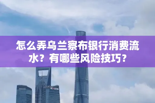 怎么弄乌兰察布银行消费流水？有哪些风险技巧？