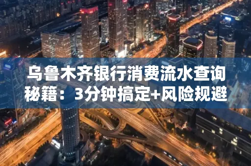 乌鲁木齐银行消费流水查询秘籍：3分钟搞定+风险规避干货