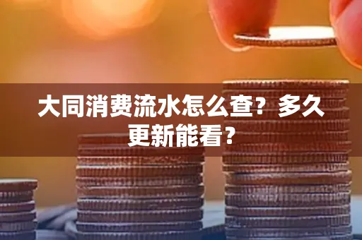 大同消费流水怎么查？多久更新能看？