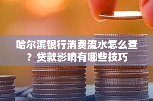 哈尔滨银行消费流水怎么查？贷款影响有哪些技巧