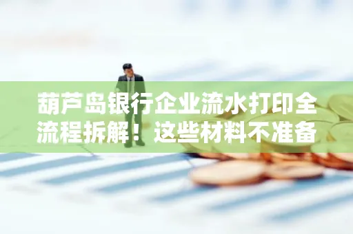 葫芦岛银行企业流水打印全流程拆解！这些材料不准备分分钟白跑一趟