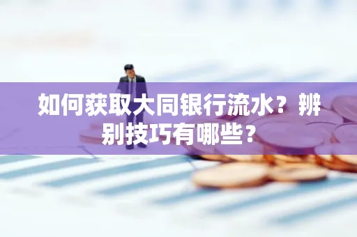 如何获取大同银行流水？辨别技巧有哪些？