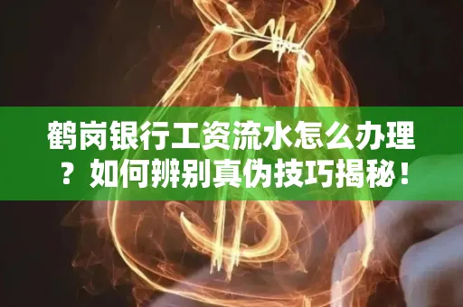 鹤岗银行工资流水怎么办理？如何辨别真伪技巧揭秘！