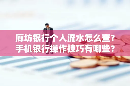 廊坊银行个人流水怎么查？手机银行操作技巧有哪些？