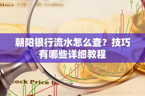 朝阳银行流水怎么查？技巧有哪些详细教程