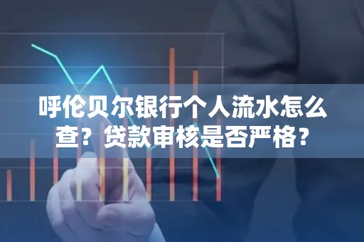 呼伦贝尔银行个人流水怎么查？贷款审核是否严格？