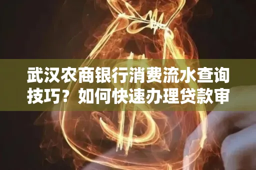 武汉农商银行消费流水查询技巧？如何快速办理贷款审批避免风险？